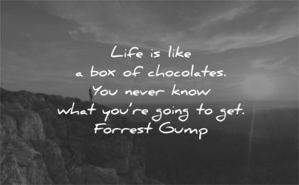 life quotes like box chocolates you never know what going get forrest gump wisdom sunset man mountains