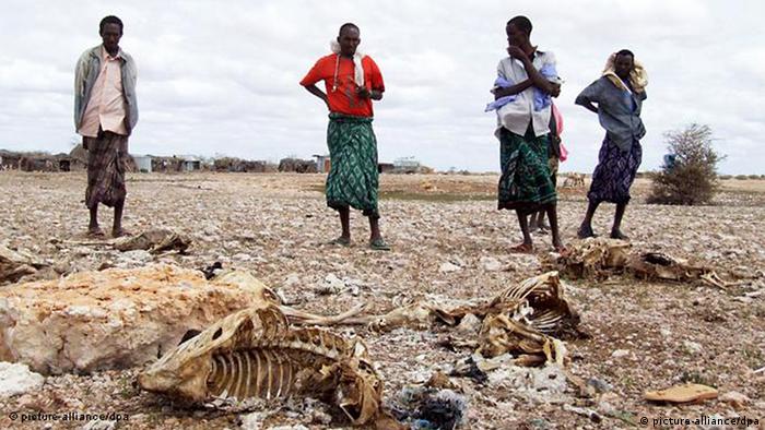 Endless drought in the Horn of Africa raises the threat of famine