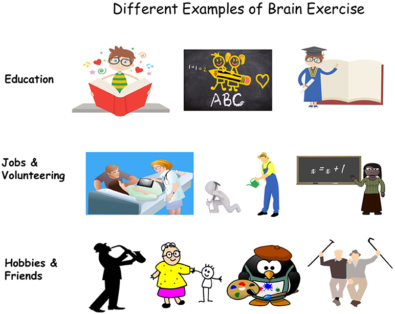 Figure 1 - Different types of brain exercise may help protect against Alzheimer’s disease.
