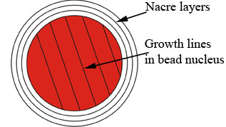 Nucleated pearl image