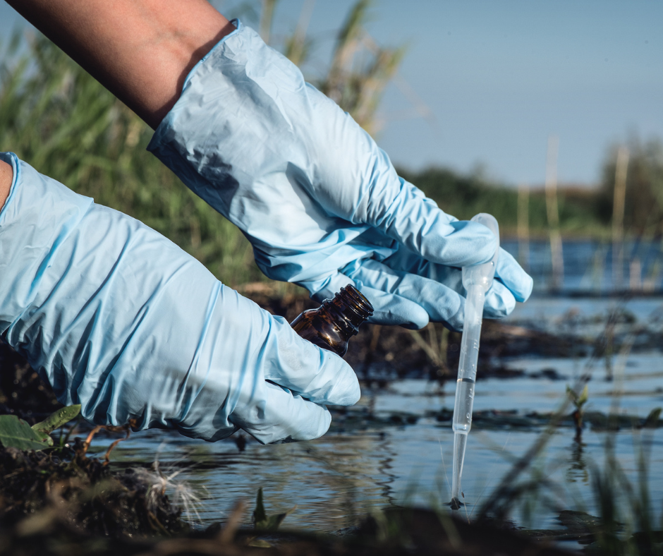 Environmental science stock photo