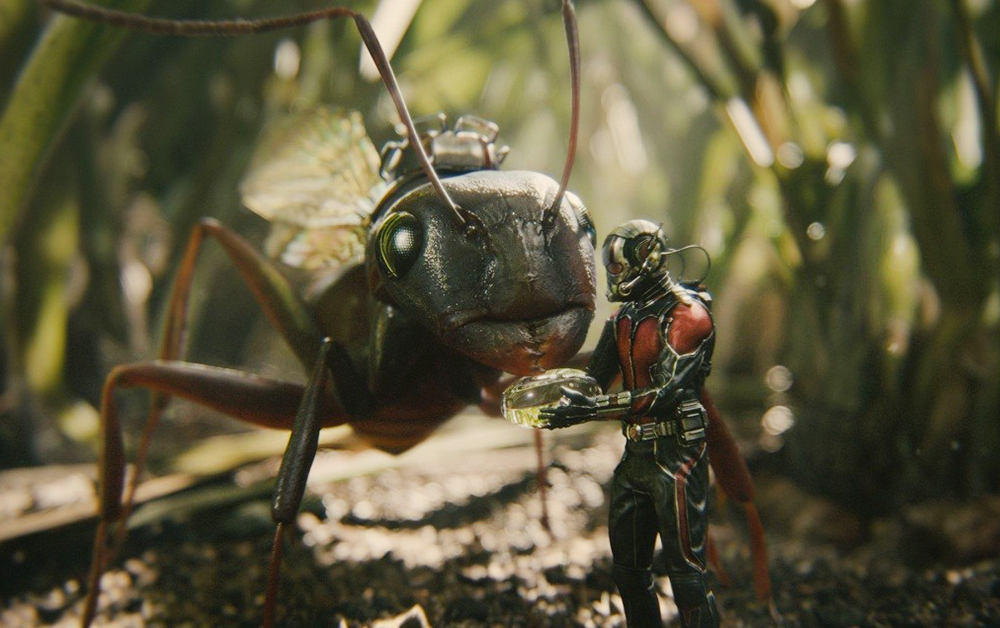Кадр из фильма «Человек-муравей»