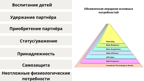 Обновлённая пирамида потребностей